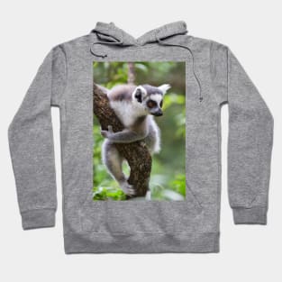 Ring-Tailed Lemur Hoodie